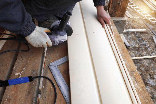 Best Custom Trim and Detailing for Siding  in Lake Riverside, CA
